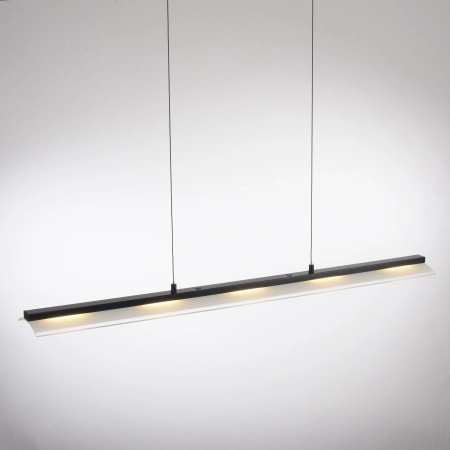 Lampa wisząca NELE 12288-18 - Paul Neuhaus