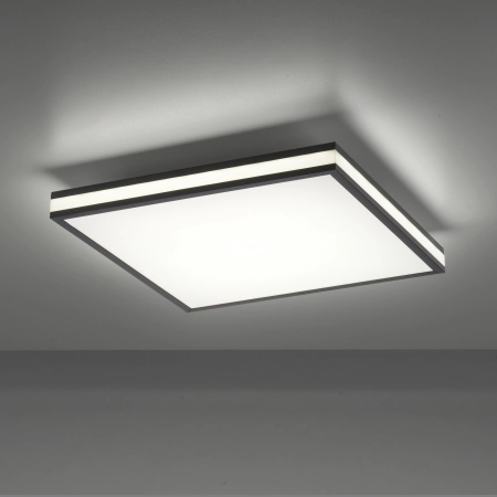 Lampa sufitowa MARIO BLACK 14110-18 - Paul Neuhaus