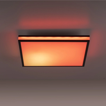 Lampa sufitowa MARIO BLACK 14110-18 - Paul Neuhaus