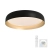 Lampa sufitowa OSKO 14216-18 - Paul Neuhaus