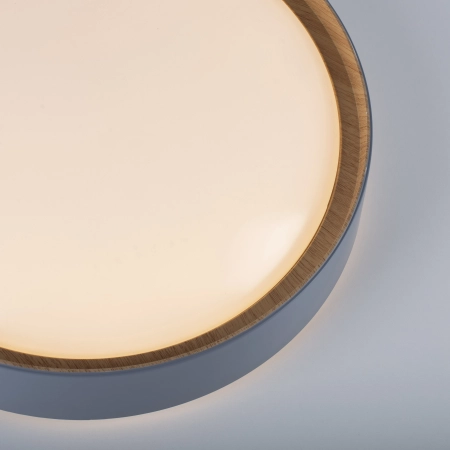 Lampa sufitowa EMILIA 14347-15 - Paul Neuhaus