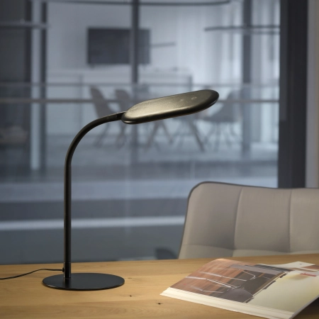 Lampa stołowa KELLY 14405-18 - Paul Neuhaus