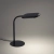 Lampa stołowa KELLY 14405-18 - Paul Neuhaus