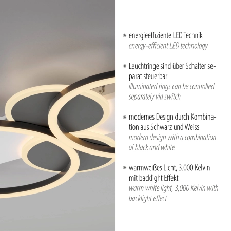Lampa sufitowa TROOPER 14552-16 - Paul Neuhaus