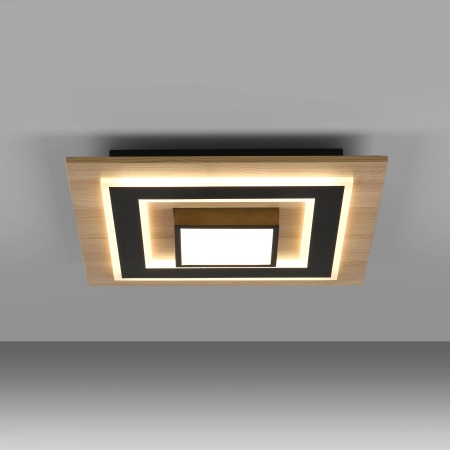 Lampa sufitowa TOLA 14563-18 - Paul Neuhaus