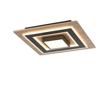 Lampa sufitowa TOLA 14563-18 - Paul Neuhaus
