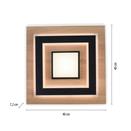 Lampa sufitowa TOLA 14563-18 - Paul Neuhaus