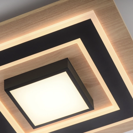 Lampa sufitowa TOLA 14563-18 - Paul Neuhaus