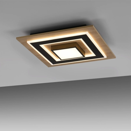 Lampa sufitowa TOLA 14563-18 - Paul Neuhaus