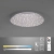 Lampa sufitowa na pilota SPARKLE 14673-55 - Paul Neuhaus