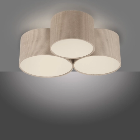 Lampa sufitowa GREEN DURO 14890-39 - Paul Neuhaus
