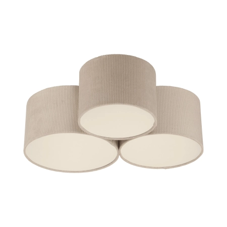 Lampa sufitowa GREEN DURO 14890-39 - Paul Neuhaus