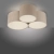 Lampa sufitowa GREEN DURO 14890-39 - Paul Neuhaus