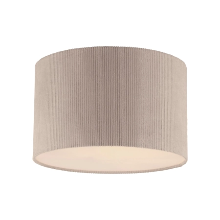 Lampa sufitowa GREEN DURO 14891-39 - Paul Neuhaus