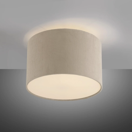 Lampa sufitowa GREEN DURO 14891-39 - Paul Neuhaus