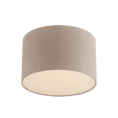 Lampa sufitowa GREEN DURO 14891-39 - Paul Neuhaus