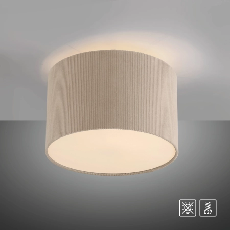 Lampa sufitowa GREEN DURO 14891-39 - Paul Neuhaus