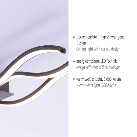 Lampa sufitowa WAVE 15166-18 - Paul Neuhaus