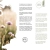 Lampa sufitowa GREEN STIKA 15208-79 - Paul Neuhaus