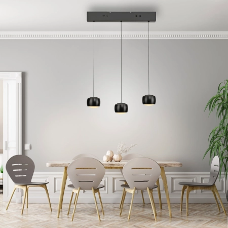 Lampa wisząca BALLINI z systemem comfort lift 15261-18 - Paul Neuhaus