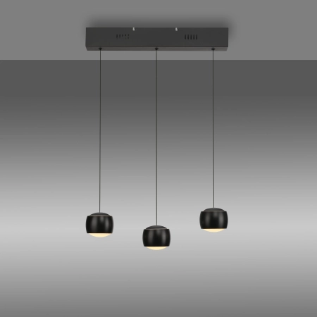 Lampa wisząca BALLINI z systemem comfort lift 15261-18 - Paul Neuhaus