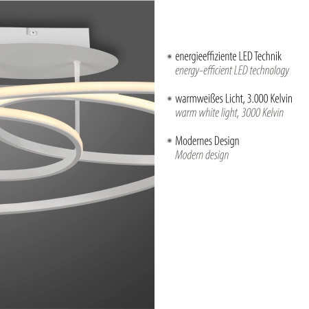 Lampa sufitowa LUMACA 15321-16 - Paul Neuhaus
