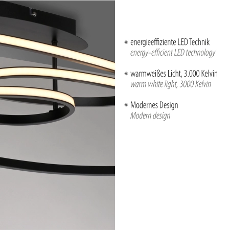 Lampa sufitowa LUMACA 15321-18 - Paul Neuhaus