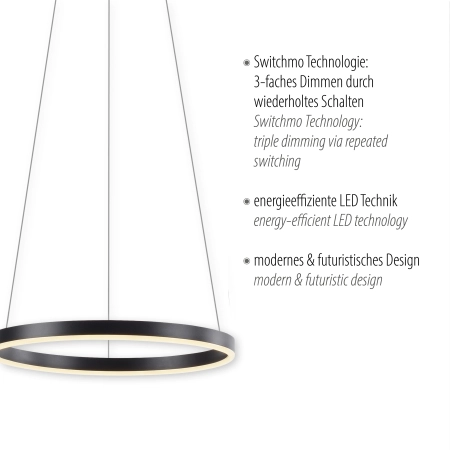 Lampa wisząca RITUS 15393-13 - Paul Neuhaus