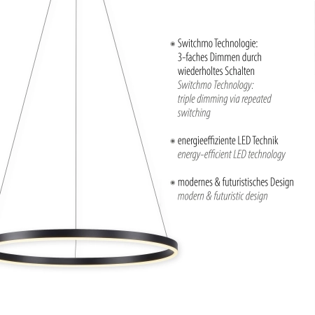 Lampa wisząca RITUS 15394-13 - Paul Neuhaus