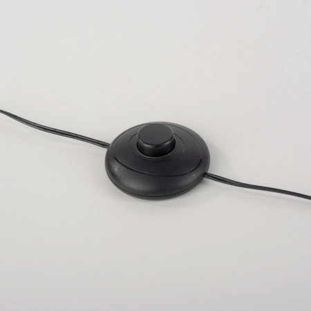 Lampa podłogowa MINI RITUS 15396-21 - Paul Neuhaus