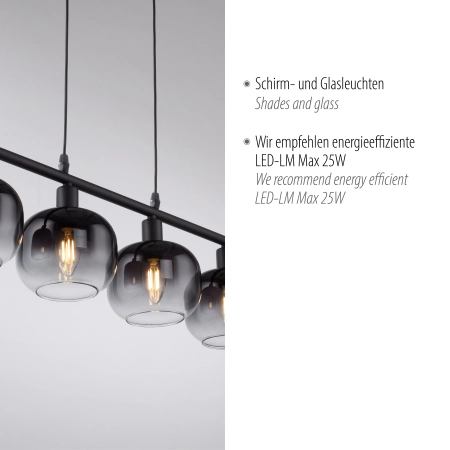 Lampa wisząca ZEA 15421-18 - Paul Neuhaus