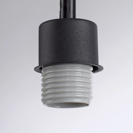 Lampa sufitowa GREEN TRIB 15782-29 - Paul Neuhaus
