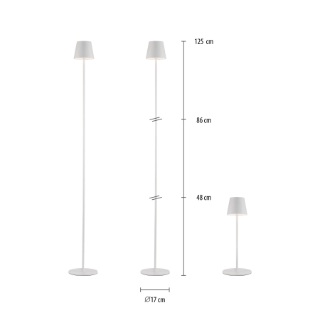 Lampa zewnętrzna EURIA 19252-16 - Paul Neuhaus