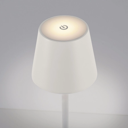 Lampa zewnętrzna EURIA 19252-16 - Paul Neuhaus