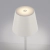 Lampa zewnętrzna EURIA 19252-16 - Paul Neuhaus