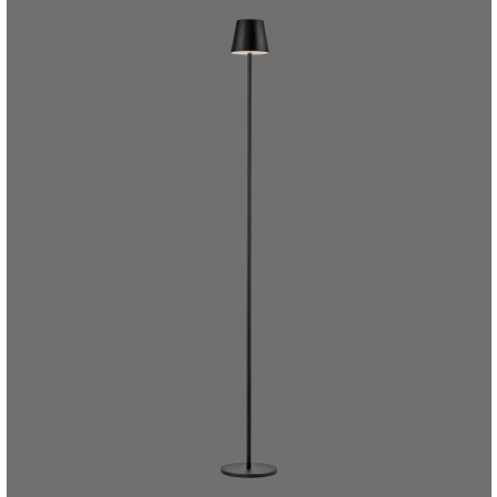 Lampa zewnętrzna EURIA 19252-18 - Paul Neuhaus