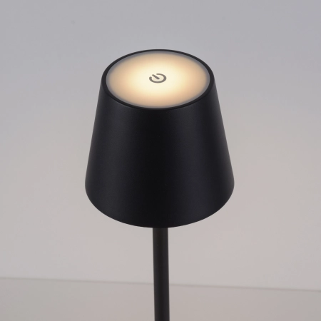 Lampa zewnętrzna EURIA 19252-18 - Paul Neuhaus