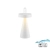Lampa zewnętrzna ALWA 19302-16 - Paul Neuhaus
