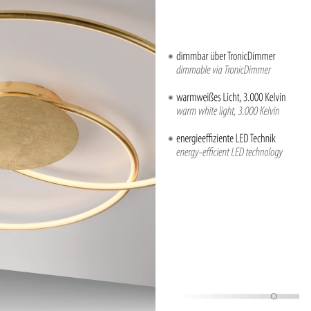 Lampa sufitowa NASTRO 6189-12 - Paul Neuhaus