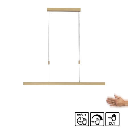 Lampa wisząca ADRIANA 2568-60 - Paul Neuhaus