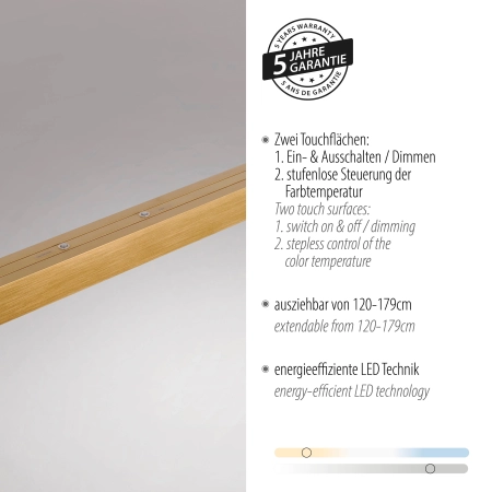 Lampa wisząca ADRIANA 2568-60 - Paul Neuhaus