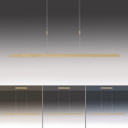 Lampa wisząca ADRIANA 2568-60 - Paul Neuhaus