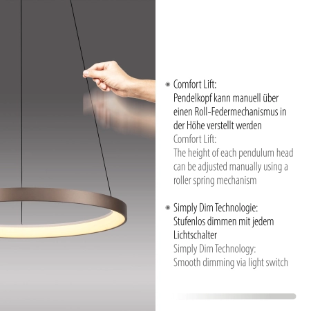 Lampa wisząca HOOP 2851-36 - Paul Neuhaus