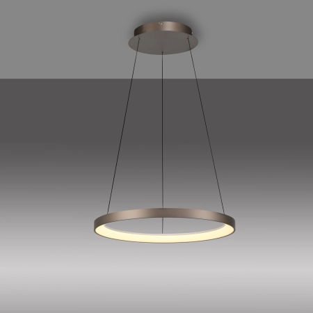 Lampa wisząca HOOP 2851-36 - Paul Neuhaus