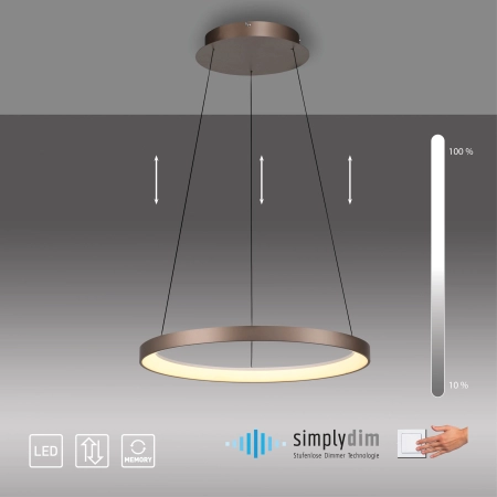 Lampa wisząca HOOP 2851-36 - Paul Neuhaus