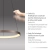 Lampa wisząca HOOP 2851-36 - Paul Neuhaus