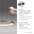 Lampa wisząca HOOP 2851-36 - Paul Neuhaus