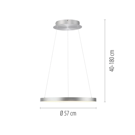 Lampa wisząca HOOP 2851-95 - Paul Neuhaus