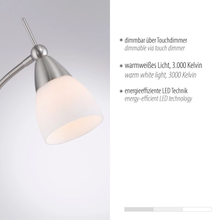 Lampa podłogowa PINO 400-55 - Paul Neuhaus