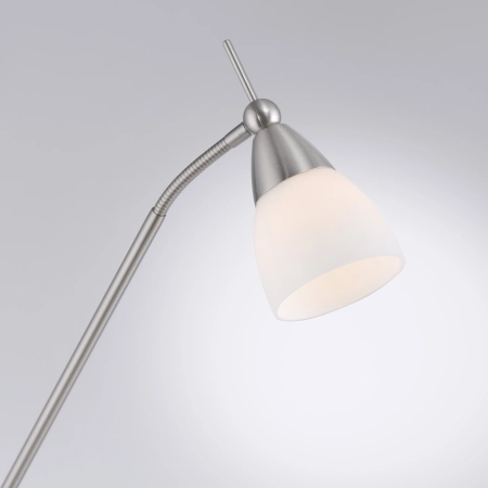 Lampa podłogowa PINO 400-55 - Paul Neuhaus